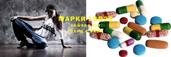 эйфоретик Тайга