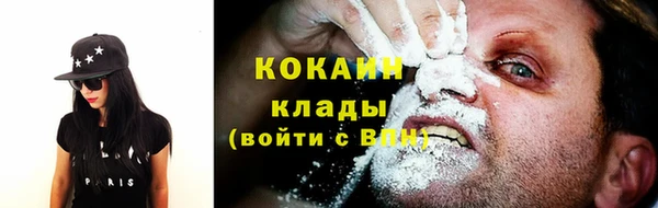 ГАЛЛЮЦИНОГЕННЫЕ ГРИБЫ Тавда