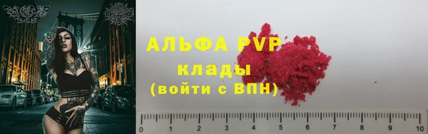 ГАЛЛЮЦИНОГЕННЫЕ ГРИБЫ Тавда