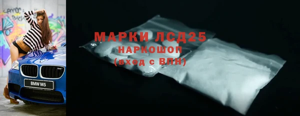 ГАЛЛЮЦИНОГЕННЫЕ ГРИБЫ Тавда
