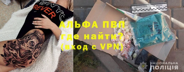 эйфоретик Тайга