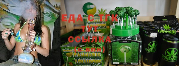 эйфоретик Тайга