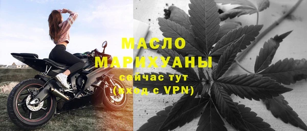 эйфоретик Тайга