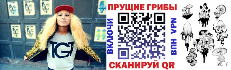 Купить  Сызрань  Галлюциногенные грибы мицелий 